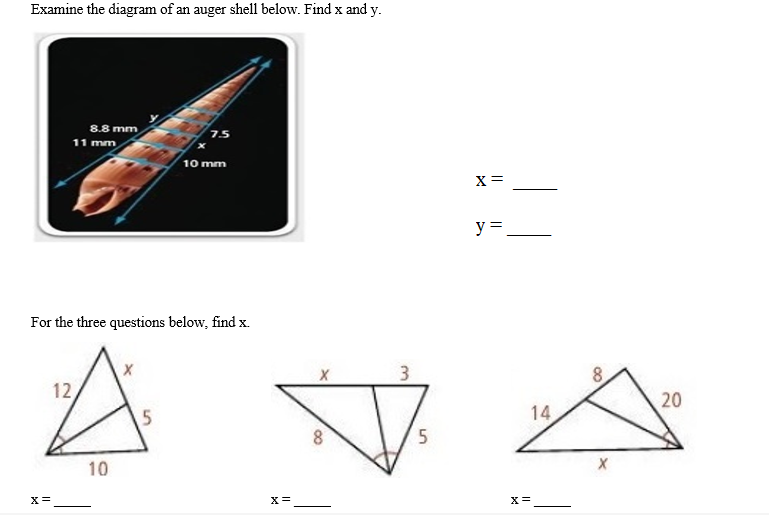 Examine The Diagram Of An Auger Shell Below Find X And Y 8 8 Mm 11 Mm 7 5 10 Mm X Y For The Three Questions Below 1