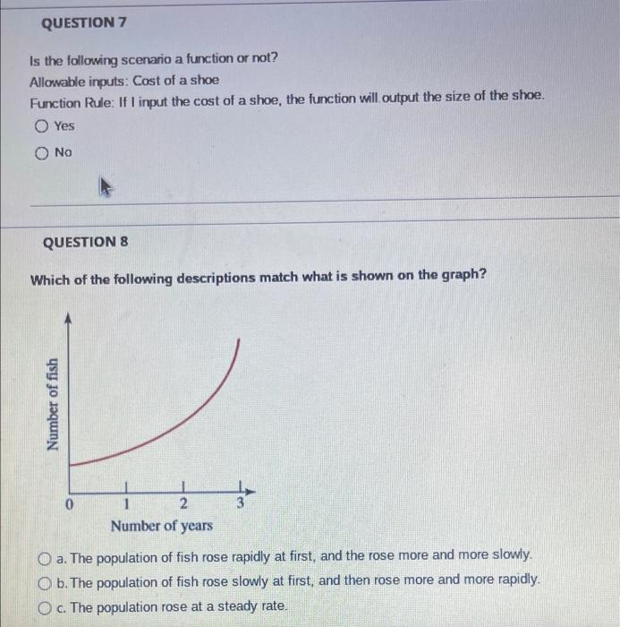 Question 7 Is The Following Scenario A Function Or Not Allowable Inputs Cost Of A Shoe Function Rule If I Input The C 1