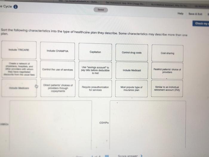 Ae Cycle 6 Saved Sort The Following Characteristics Into The Type Of Healthcare Plan They Describe Some Characteristics 1