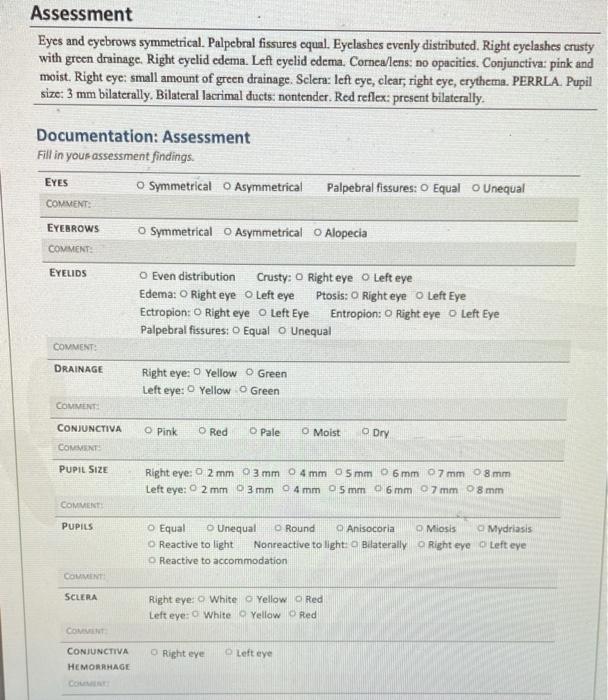 Assessing The Eyes Case Study Clinical Scenario A Female Patient 29 Years Old Comes To The Urgent Care Center Complain 3