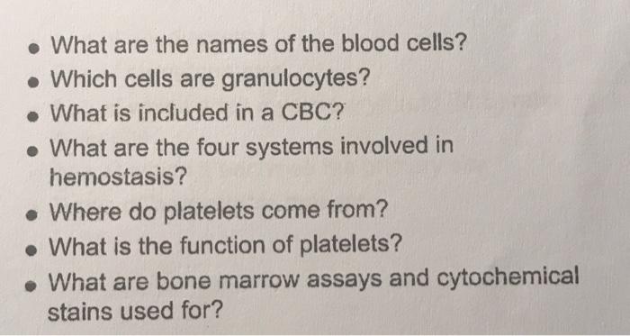 What Are The Names Of The Blood Cells Which Cells Are Granulocytes What Is Included In A Cbc What Are The Fou 1
