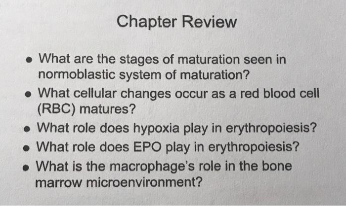 Chapter Review What Are The Stages Of Maturation Seen In Normoblastic System Of Maturation What Cellular Changes Oc 1