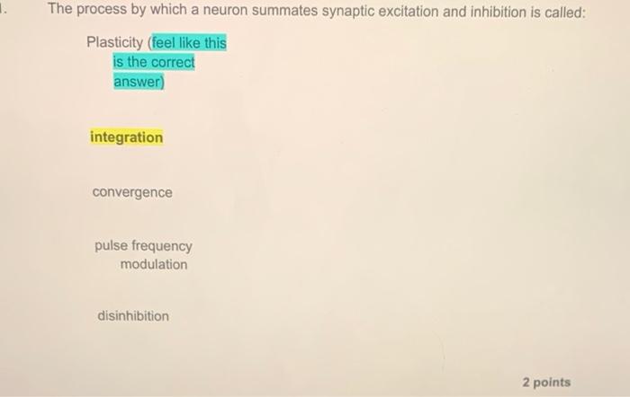 The Process By Which A Neuron Summates Synaptic Excitation And Inhibition Is Called Plasticity Feel Like This Is The C 1