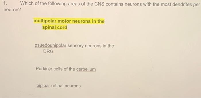 1 Which Of The Following Areas Of The Cns Contains Neurons With The Most Dendrites Per Neuron Multipolar Motor Neurons 1
