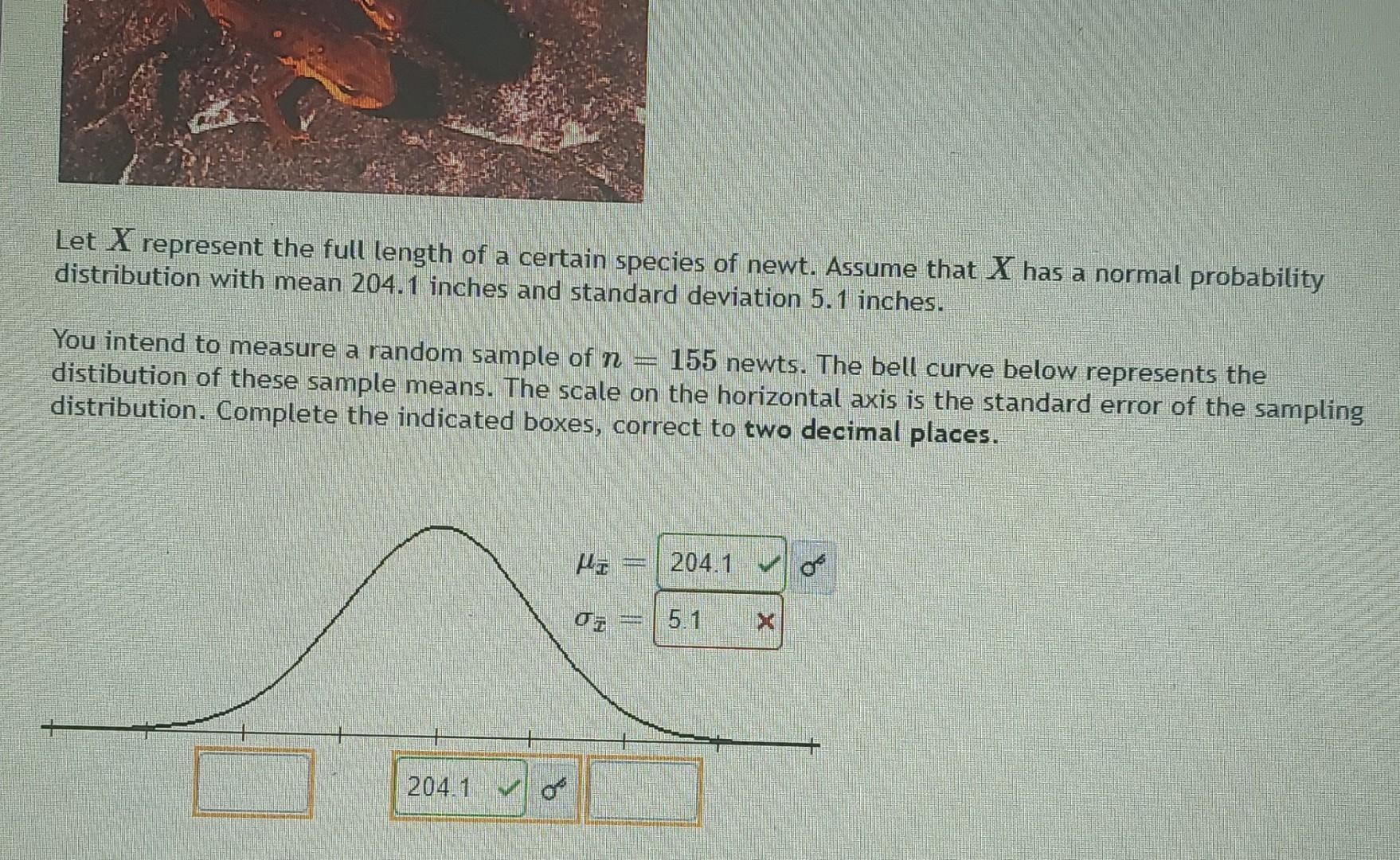 Let X Represent The Full Length Of A Certain Species Of Newt Assume That X Has A Normal Probability Distribution With M 1