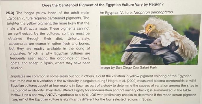 Does The Carotenoid Pigment Of The Egyptian Vulture Vary By Region 25 3 The Bright Yellow Head Of The Adult Male An Eg 1