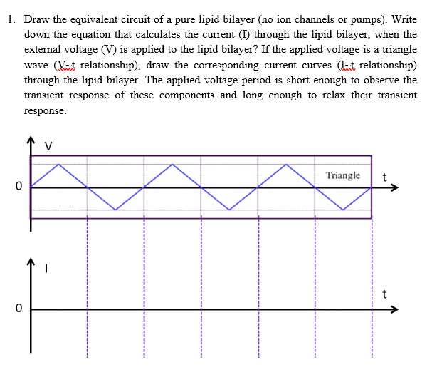 1 Draw The Equivalent Circuit Of A Pure Lipid Bilayer No Ion Channels Or Pumps Write Down The Equation That Calculat 1