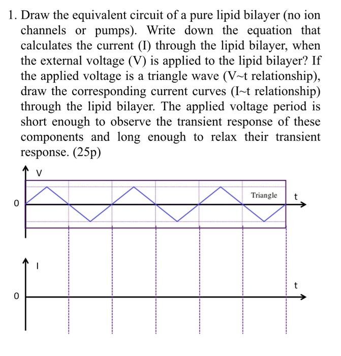 1 Draw The Equivalent Circuit Of A Pure Lipid Bilayer No Ion Channels Or Pumps Write Down The Equation That Calculat 1
