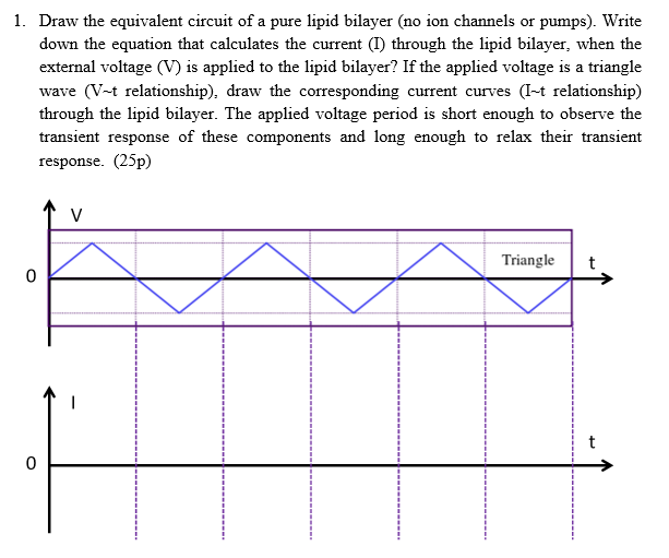 Answer The Following Question And Don T Forget To Draw The Corresponding Current Curves At The End Of The Question 1