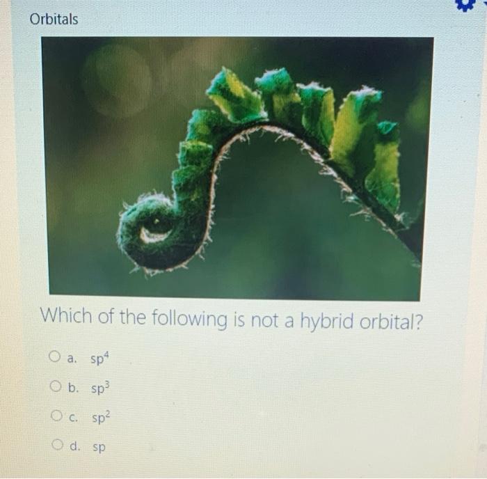 Orbitals Which Of The Following Is Not A Hybrid Orbital O A Sp4 O B Sp O C Sp D Sp 1