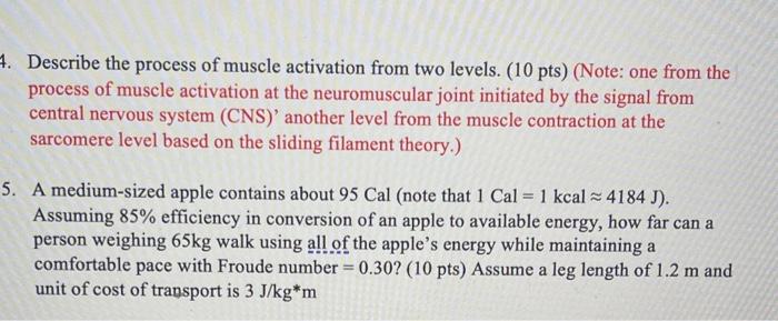 4 Describe The Process Of Muscle Activation From Two Levels 10 Pts Note One From The Process Of Muscle Activation 1