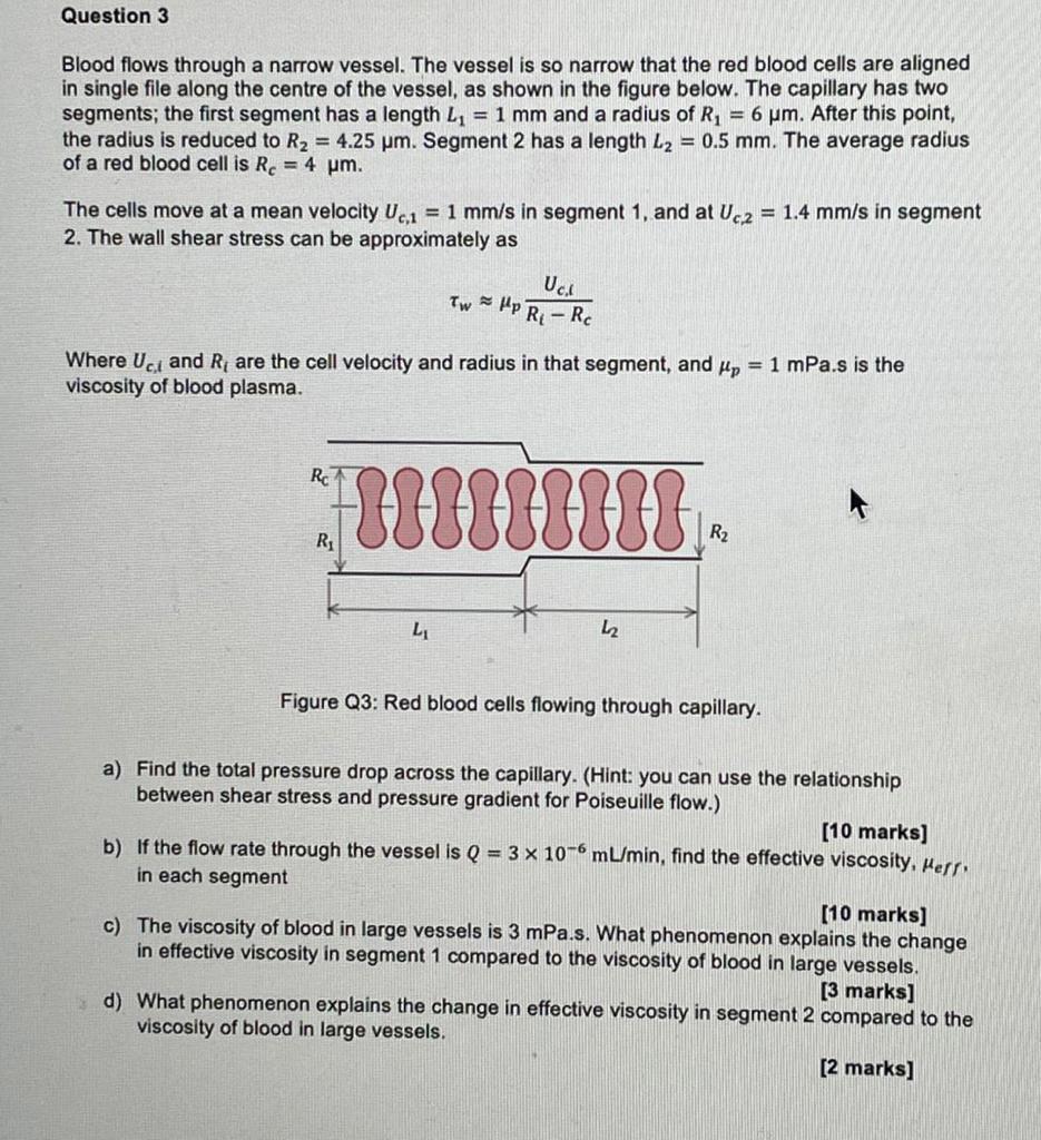 Question 3 Blood Flows Through A Narrow Vessel The Vessel Is So Narrow That The Red Blood Cells Are Aligned In Single F 1
