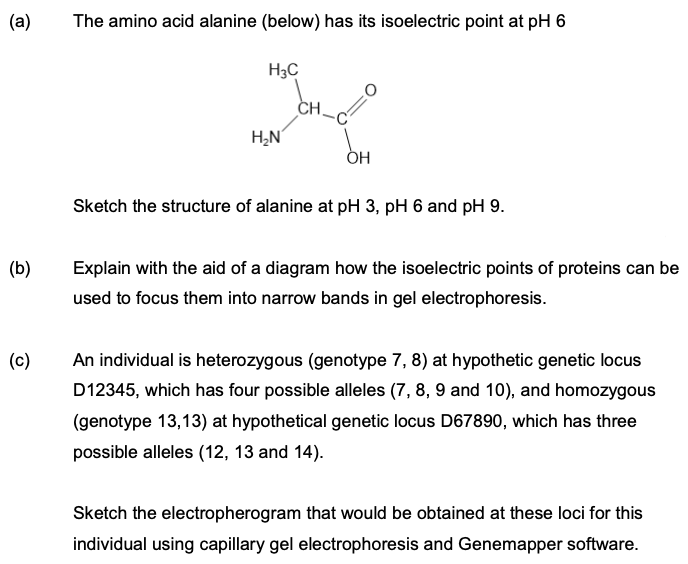 A The Amino Acid Alanine Below Has Its Isoelectric Point At Ph 6 H3c Hn Oh Sketch The Structure Of Alanine At Ph 3 1