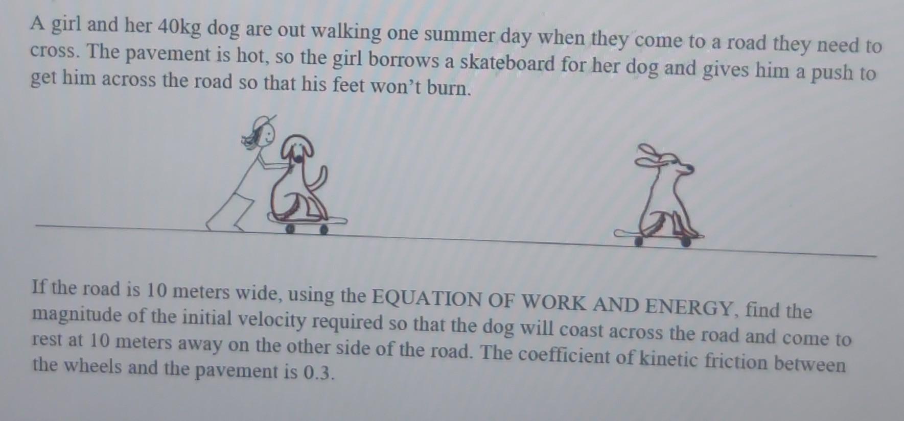 A Girl And Her 40kg Dog Are Out Walking One Summer Day When They Come To A Road They Need To Cross The Pavement Is Hot 1