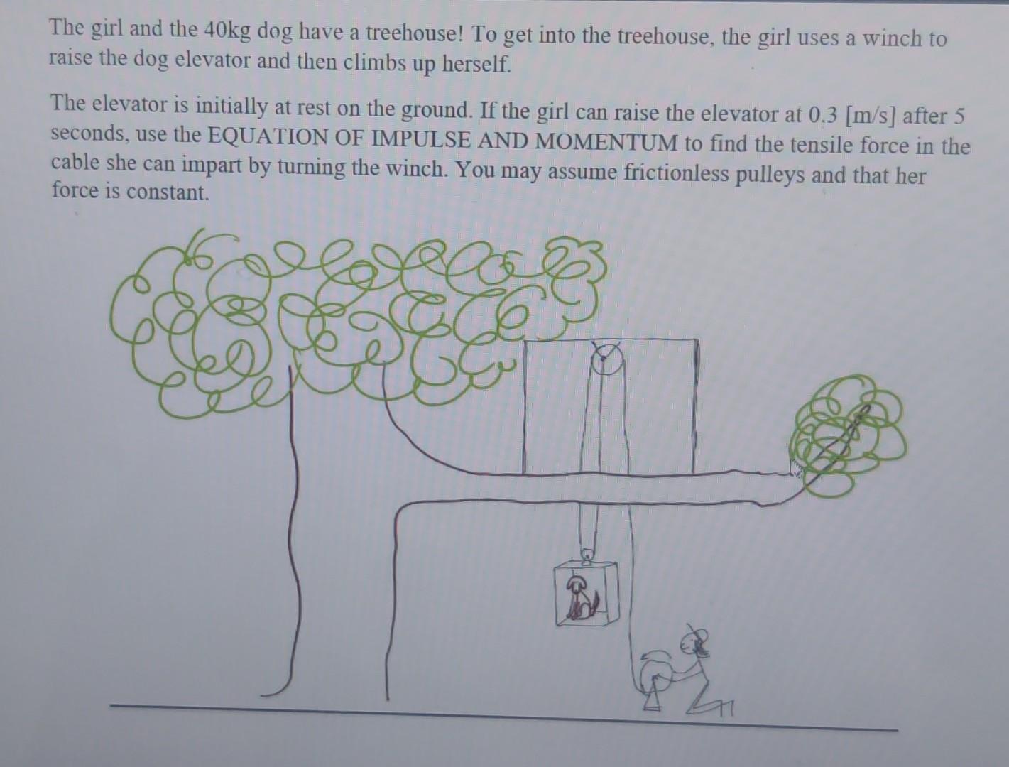 The Girl And The 40kg Dog Have A Treehouse To Get Into The Treehouse The Girl Uses A Winch To Raise The Dog Elevator A 1