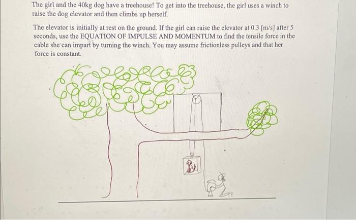 The Girl And The 40kg Dog Have A Treehouse To Get Into The Treehouse The Girl Uses A Winch To Raise The Dog Elevator A 1
