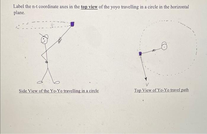 Label The N T Coordinate Axes In The Top View Of The Yoyo Travelling In A Circle In The Horizontal Plane V Top View Of 1