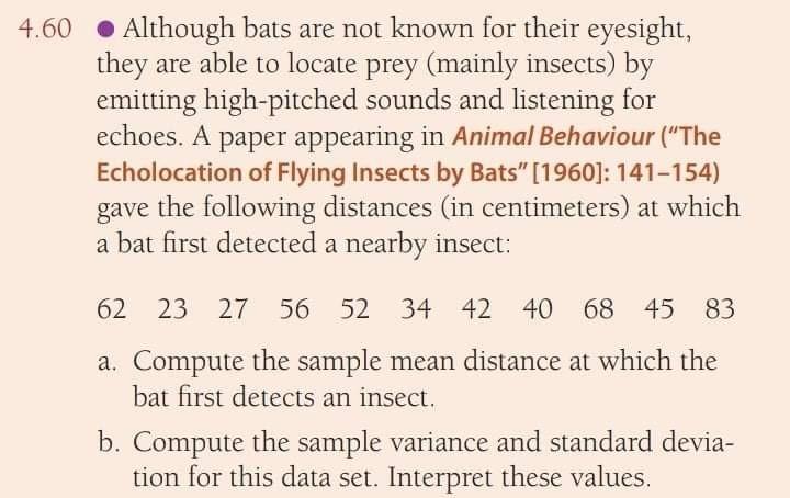 4 60 Although Bats Are Not Known For Their Eyesight They Are Able To Locate Prey Mainly Insects By Emitting High Pitc 1