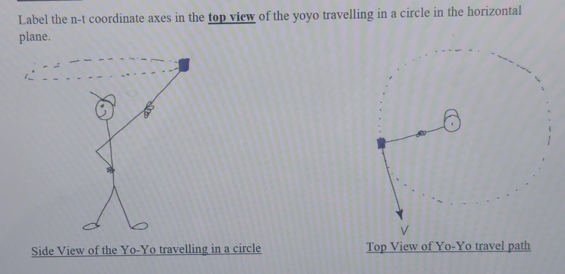 Label The N T Coordinate Axes In The Top View Of The Yoyo Travelling In A Circle In The Horizontal A Plane E V Top View 1
