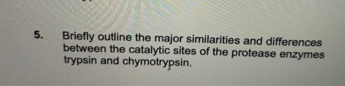 5 Briefly Outline The Major Similarities And Differences Between The Catalytic Sites Of The Protease Enzymes Trypsin An 1