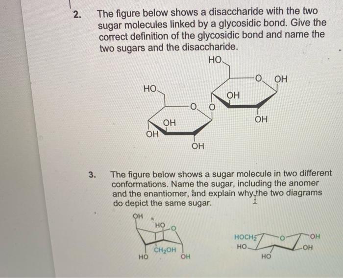 2 The Figure Below Shows A Disaccharide With The Two Sugar Molecules Linked By A Glycosidic Bond Give The Correct Defi 1