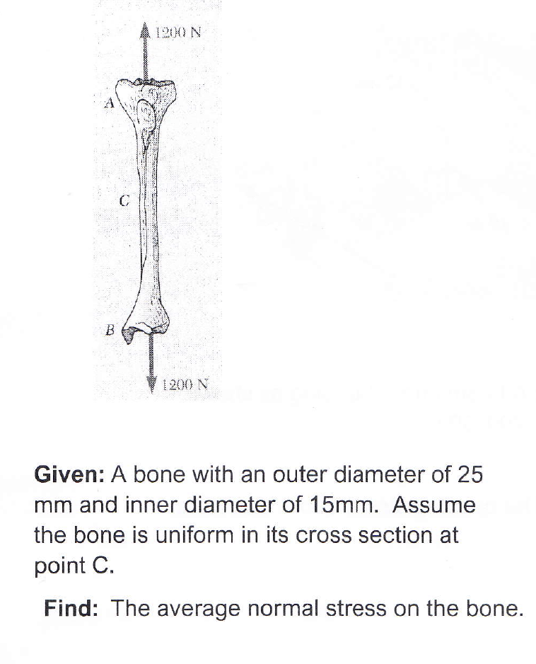 1200 N C B 1200 N Given A Bone With An Outer Diameter Of 25 Mm And Inner Diameter Of 15mm Assume The Bone Is Uniform I 1