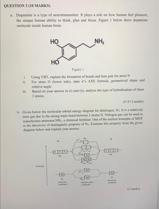 Question 3 10 Marks A Dopamine Is A Type Of Neurotransmitter It Plays A Role On How Human Feel Pleasure The Unique 1