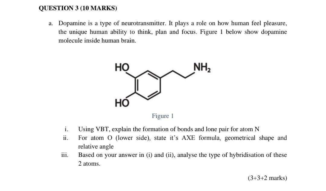 Question 3 10 Marks A Dopamine Is A Type Of Neurotransmitter It Plays A Role On How Human Feel Pleasure The Unique 1
