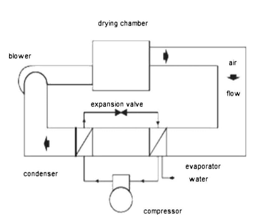 Drying Chamber Blower Air Flow Expansion Valve Evaporator Condenser Water Compressor 1