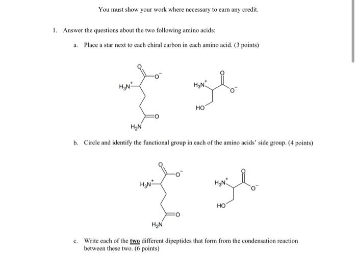 You Must Show Your Work Where Necessary To Earn Any Credit 1 Answer The Questions About The Two Following Amino Acids 1