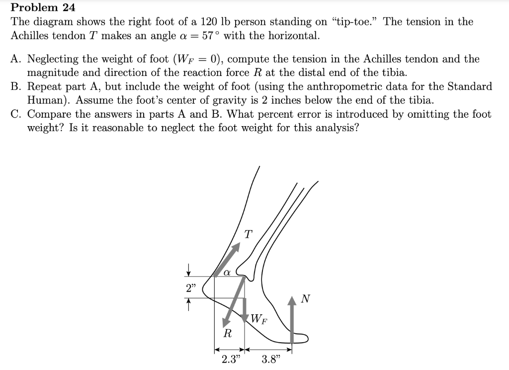 Problem 24 The Diagram Shows The Right Foot Of A 120 Lb Person Standing On Tip Toe The Tension In The Achilles Tend 1