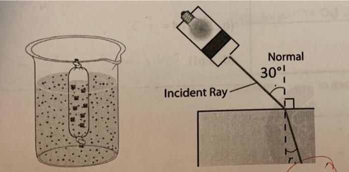 17 8 Points A Semi Permeable Plastic Sack Is Used In An Osmosis Experiment In A 250 Ml Beaker As Shown Below The Sa 2