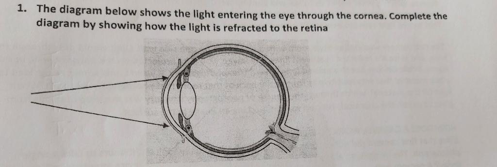 1 The Diagram Below Shows The Light Entering The Eye Through The Cornea Complete The Diagram By Showing How The Light 1