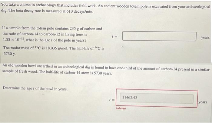 You Take A Course In Archaeology That Includes Field Work An Ancient Wooden Totem Pole Is Excavated From Your Archaeolo 1