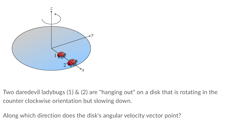 21 Two Daredevil Ladybugs 1 2 Are Hanging Out On A Disk That Is Rotating In The Counter Clockwise Orientation Bu 1