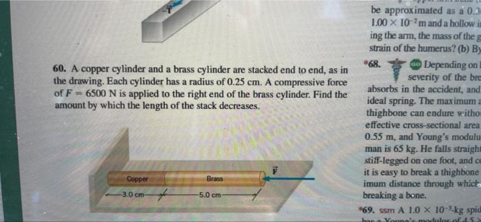 Be Approximated As A 0 3 1 00 X 10 M And A Hollow In Ing The Arm The Mass Of The Strain Of The Humerus B By 68 Do 1