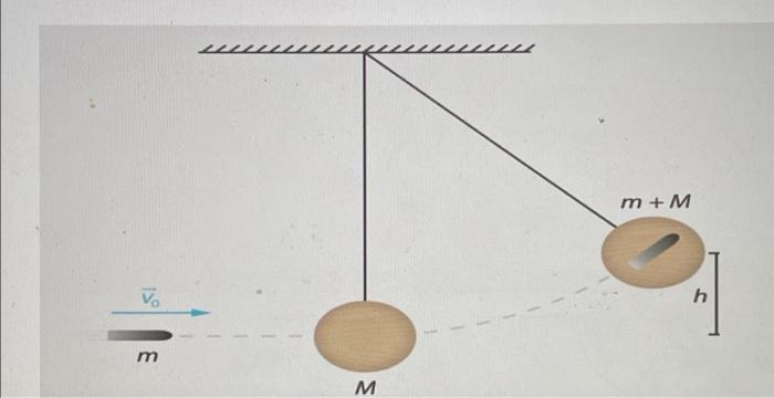 A Use The Sizes Given In Pictures To Set Up An Expression Of How Much Speed The Pendulum Ball And The Projectile Got Ri 1