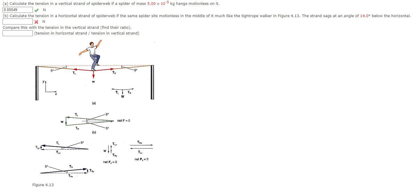 A Calculate The Tension In A Vertical Strand Of Spiderweb If A Spider Of Mass 5 00 X 10 5 Kg Hangs Motionless On It 0 1