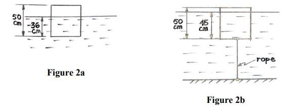 Q2 10 10 12 32 Points Consider The Wooden Block Having A Dimension Of 50 Cm X 50 Cm X 50 Cm If Released In Water 1