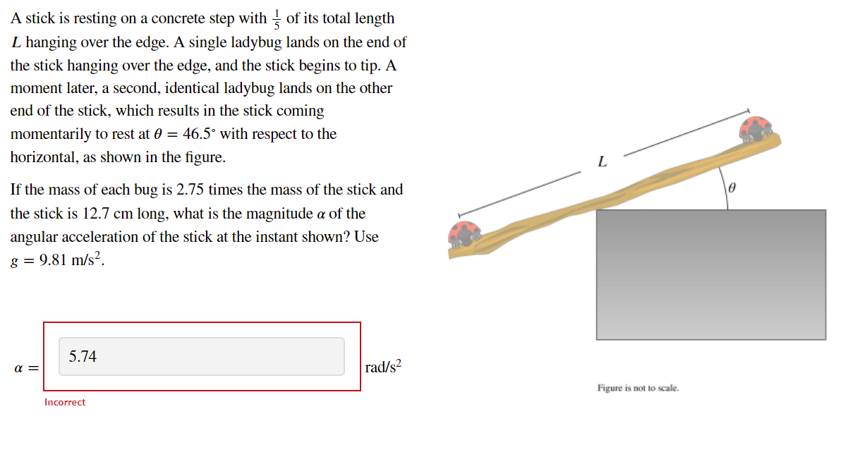 A Stick Is Resting On A Concrete Step With I Of Its Total Length L Hanging Over The Edge A Single Ladybug Lands On The 1