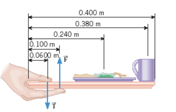 A Lunch Tray Is Being Held In One Hand As The Figure Illustrates The Mass Of The Tray Itself Is 0 191 Kg And Its Cent 1