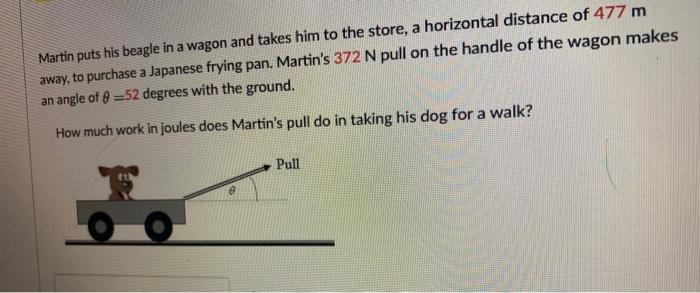 Martin Puts His Beagle In A Wagon And Takes Him To The Store A Horizontal Distance Of 477 M Away To Purchase A Japanes 1