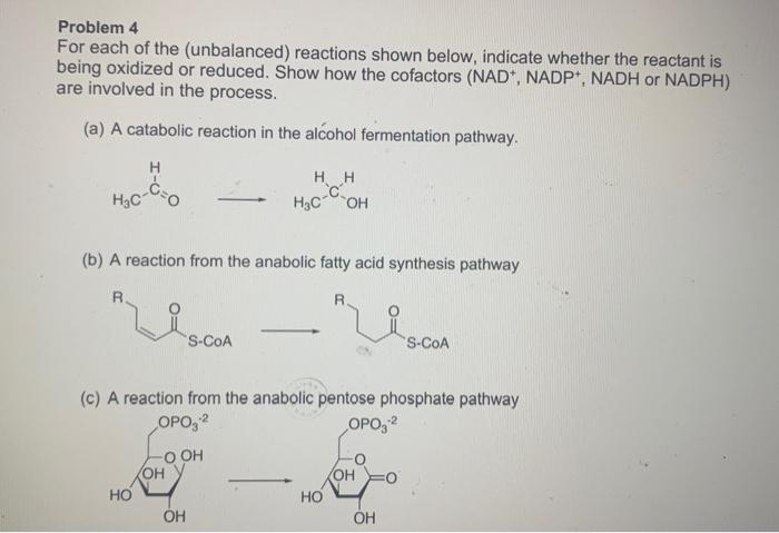 Foundation Of Biochemistry 1
