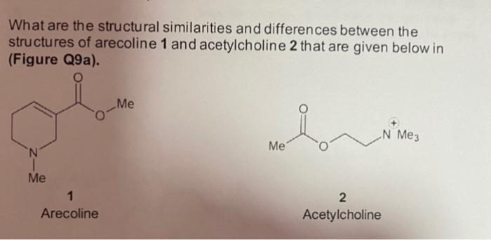 What Are The Structural Similarities And Differences Between The Structures Of Arecoline 1 And Acetylcholine 2 That Are 1