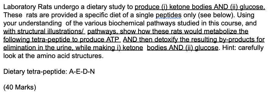Laboratory Rats Undergo A Dietary Study To Produce I Ketone Bodies And Ii Glucose These Rats Are Provided A Specifi 1