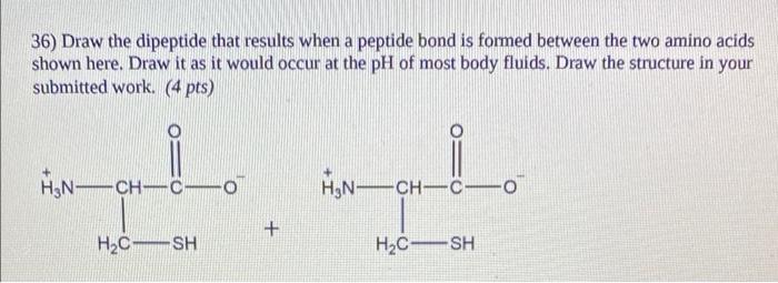 36 Draw The Dipeptide That Results When A Peptide Bond Is Formed Between The Two Amino Acids Shown Here Draw It As It 1
