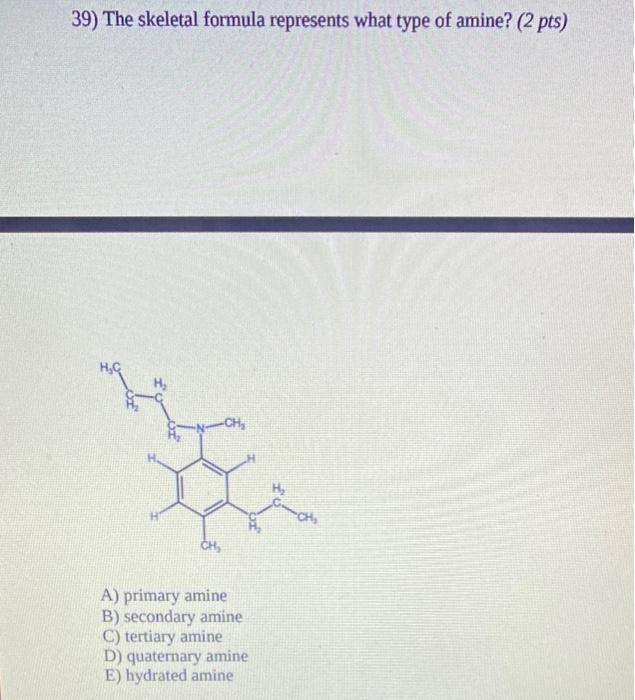 39 The Skeletal Formula Represents What Type Of Amine 2 Pts Hc He Ch H H Ch Ch A Primary Amine B Secondary Amin 1