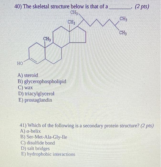 39 The Skeletal Formula Represents What Type Of Amine 2 Pts Hc He Ch H H Ch Ch A Primary Amine B Secondary Amin 2