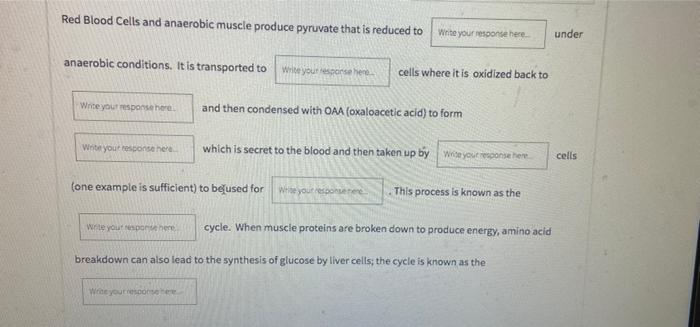 Red Blood Cells And Anaerobic Muscle Produce Pyruvate That Is Reduced To Write Your Response Here Under Anaerobic Condit 1