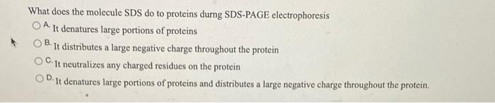 What Does The Molecule Sds Do To Proteins Durng Sds Page Electrophoresis A It Denatures Large Portions Of Proteins B I 1